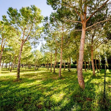 Agriturismo Bio San Mamiliano Grosseto Exterior foto